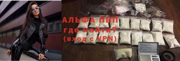 прущие грибы Богданович