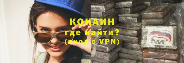 прущие грибы Богданович