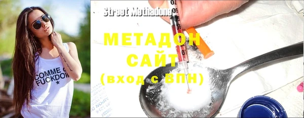 прущие грибы Богданович