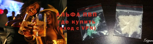 прущие грибы Богданович