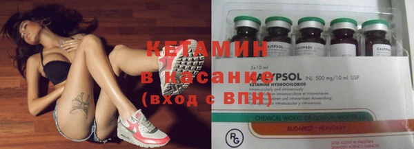 прущие грибы Богданович