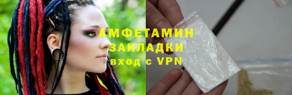 прущие грибы Богданович