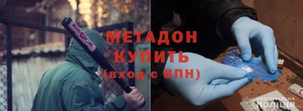 прущие грибы Богданович