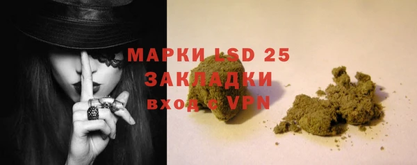 прущие грибы Богданович