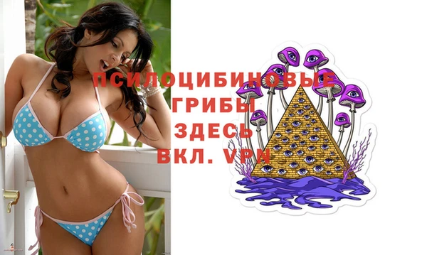COCAINE Богородск