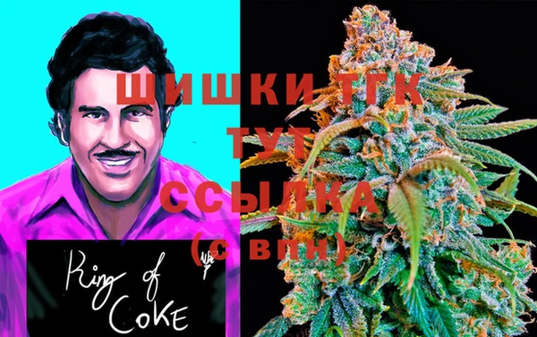 прущие грибы Богданович