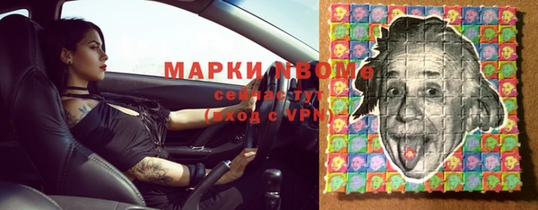 прущие грибы Богданович