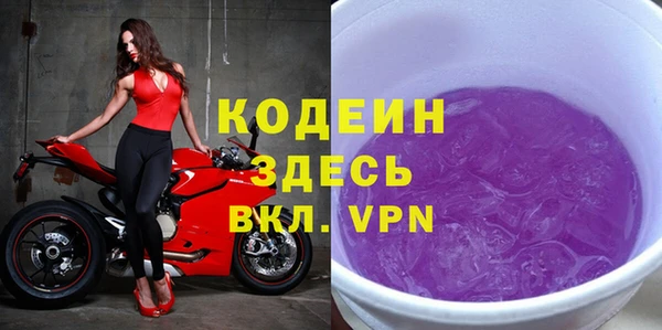 прущие грибы Богданович