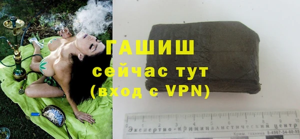 прущие грибы Богданович