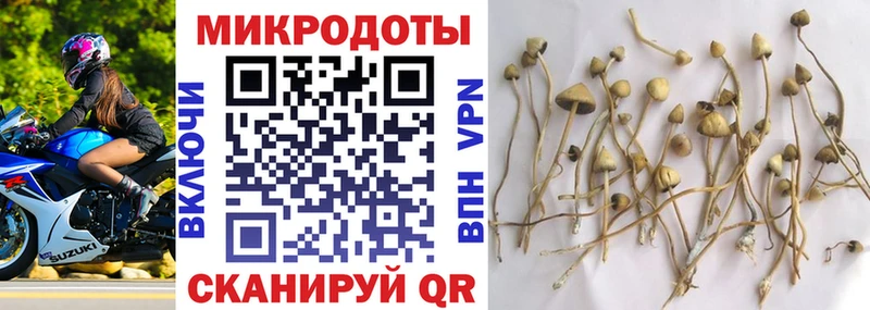 купить   мега ССЫЛКА  Галлюциногенные грибы GOLDEN TEACHER  Александровское 